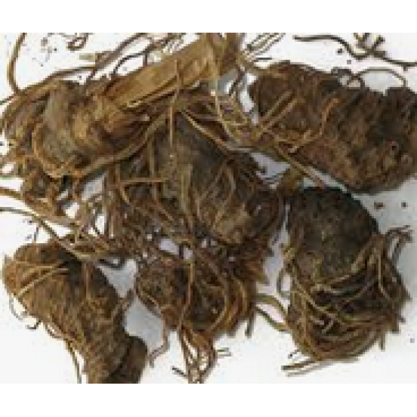 Herb Beth Root 2g